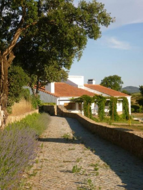 THE OLIVE PRESS - Alentejo